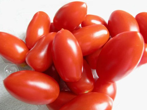 Fresh Roma Tomatoes for Bruschetta Recipe