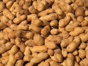 Peanut Butter Quesadillas - Raw Shelled Peanuts