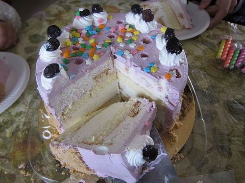 Blueberry Ice Cream Cake
